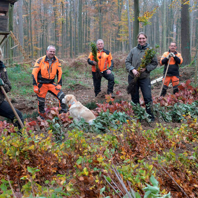 Mitarbeiterinnen und Mitarbeiter des Betriebs Stadtwald während einer Baumpflanzung im städtischen Forst.