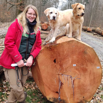 Annika Fuchs vom Betrieb Stadtwald mit ihren Hunden Alma und Flora, die auf dem wertvollsten Stamm der Norddeutschen Nadelwertholzsubmission stehen.