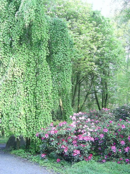Tag des offenen Denkmals 2025 - Forstbotanischer Garten