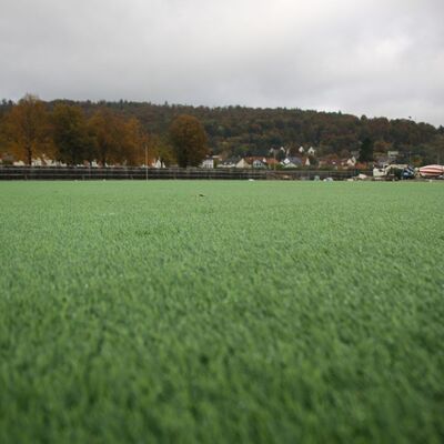 Sanierungsstand vom 16.10.2025
