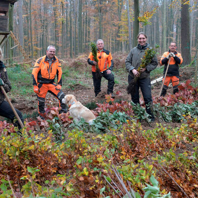 Der zweitgr��te Stadtwald in Niedersachsen ist nicht nur ein Erholungsort f�r Einheimische und G�ste, sondern auch Lebensraum von sehr seltenen Pflanzen und Tieren und dient gleichzeitig als Schutz vor Verkehrsl�rm, der auf dem Stadtgebiet durch die naheliegende Autobahn A7 sowie Bahntrassen und Bundesstra�en eine gro�e Rolle spielt.