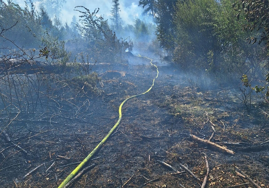 Brand nahe A7_online
