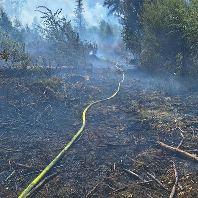 Brand nahe A7_online