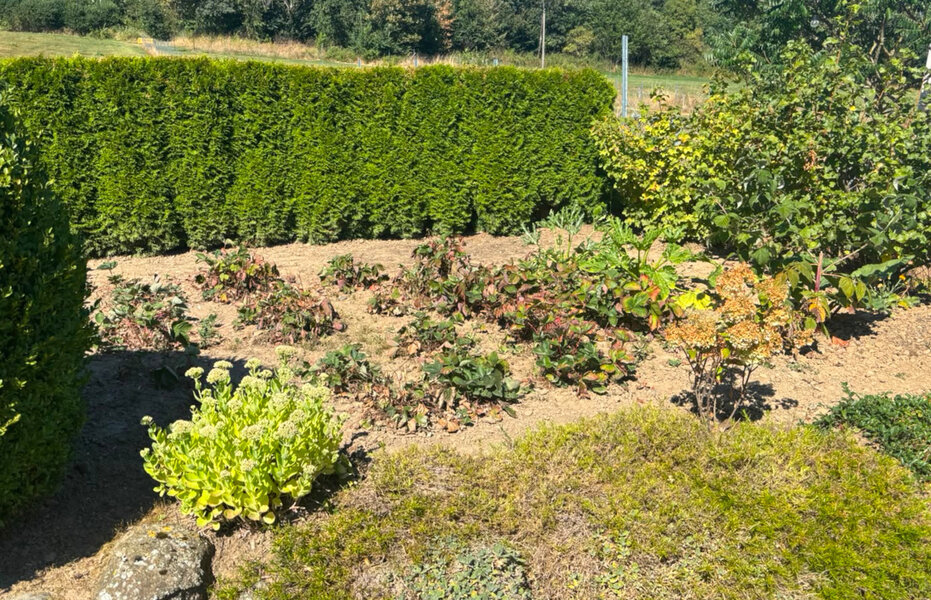 Nach Gro�brand sollten Selbstversorger Vorsicht walten lassen