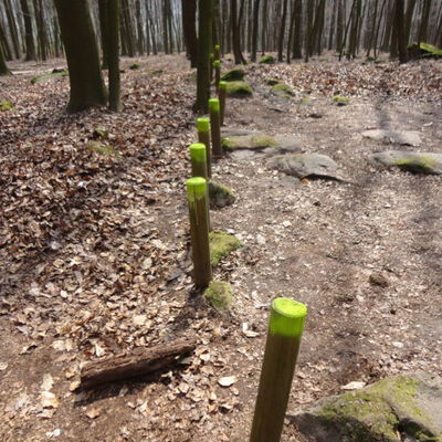 Tag des &ouml;ffenen Denkmals 2026 - R&ouml;merlager Hedem&uuml;nden