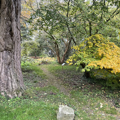 Tag des offenen Denkmals 2023 - Forstbotanischer Garten