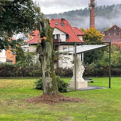 Ein Gro&szlig;teil des Stammtorsos soll nach M&ouml;glichkeit erhalten bleiben, um die gesch&uuml;tzte Lebensst&auml;tte der Hornissen zu sichern. 