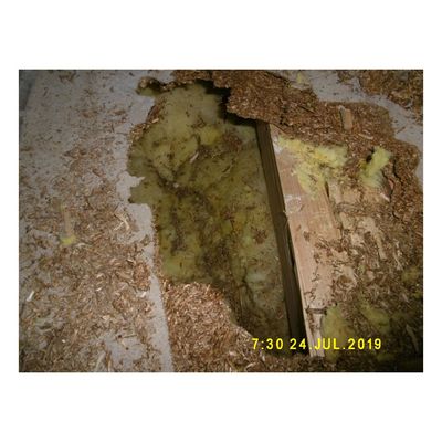 Sanierung Rathaus Hann. M&uuml;nden - 1. Bauabschnitt - Arbeiten OG - Bild-00006