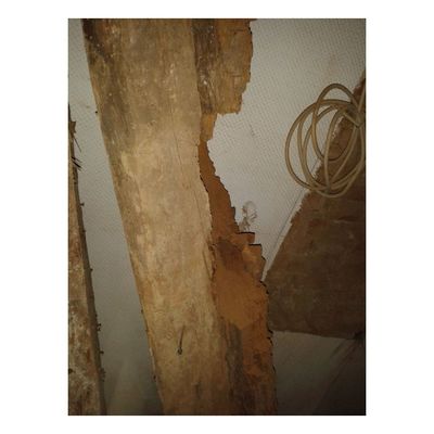 Sanierung Rathaus Hann. M&uuml;nden - 1. Bauabschnitt - Arbeiten OG - Bild-00027