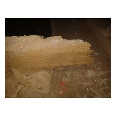 Sanierung Rathaus Hann. M&uuml;nden - 1. Bauabschnitt - Schadensbild - Bild-00009A