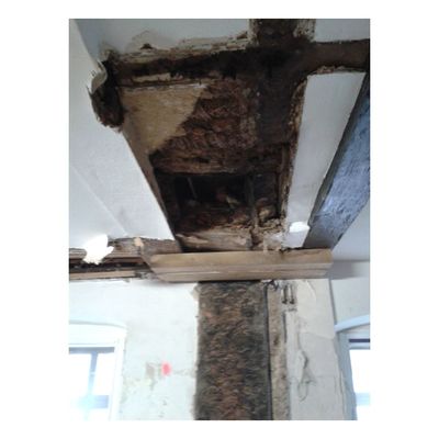 Sanierung Rathaus Hann. M&uuml;nden - 1. Bauabschnitt - Schadensbild - Bild-00014A