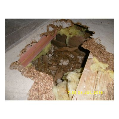 Sanierung Rathaus Hann. M&uuml;nden - 1. Bauabschnitt - Schadensbild - Bild-00006A